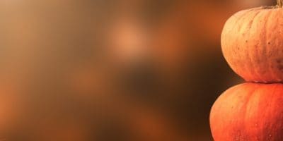 Halloween trick or treat trails are back